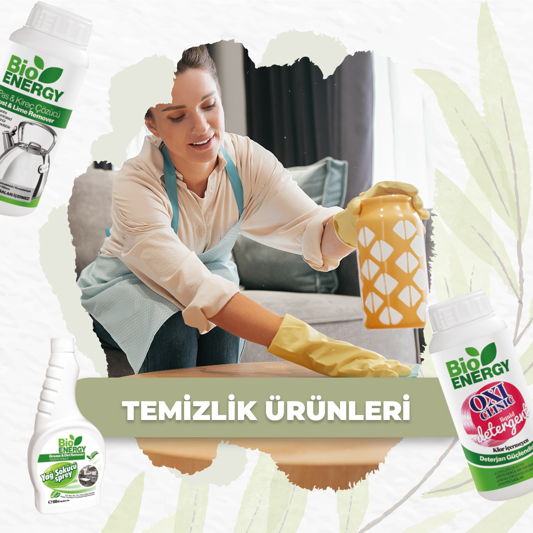 Ev Temizliği Akademi