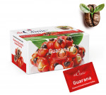 Dr.Clinic Guarana Ekstraktlı Instant Kahve